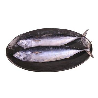 Prilagojena Bullet Tuna