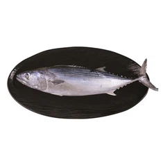 Zamrznjena progasta palamida