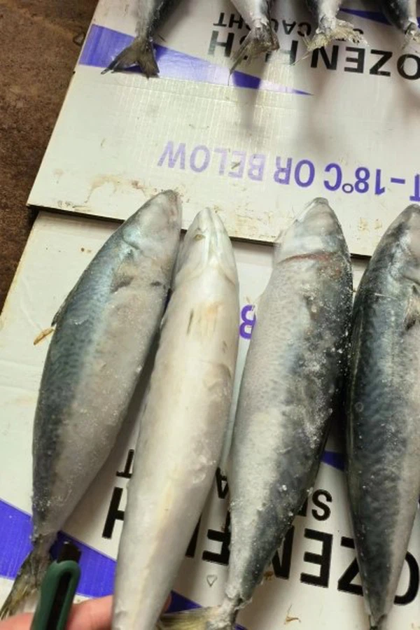 b9b900933de3a907c5998b4f58c78b7 b9b900933de3a907c5998b4f58c78b7